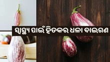 ଜାଣିଛନ୍ତି କି ଧଳା ବାଇଗଣର ସ୍ୱାସ୍ଥ୍ୟ ଉପକାରିତା ?