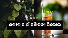 ବଡ ବଡ ରୋଗ ଭଲ କରିଦିଏ ଗିଲୋଇ ରସ 