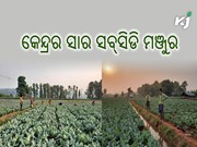 ୧.୦୮ ଲକ୍ଷ କୋଟିର ସାର ସବ୍ସିଡି ମଞ୍ଜୁର ୧.୦୮ ଲକ୍ଷ କୋଟିର ସାର ସବ୍ସିଡି ମଞ୍ଜୁର