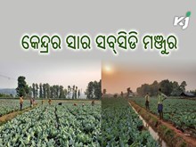 ୧.୦୮ ଲକ୍ଷ କୋଟିର ସାର ସବ୍ସିଡି ମଞ୍ଜୁର ୧.୦୮ ଲକ୍ଷ କୋଟିର ସାର ସବ୍ସିଡି ମଞ୍ଜୁର