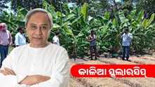 ବର୍ଷକୁ ୨ ଥର ‘କାଳିଆ ସ୍କଲାରସିପ୍’ ପାଇଁ ଆବେଦନ କରନ୍ତୁ