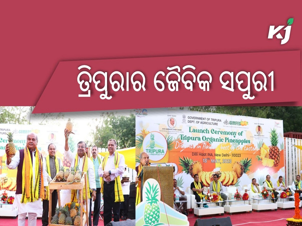 Launched ceremony of Tripura organic pineapples