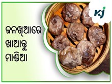 ମାଣ୍ଡିଆକୁ ଜଳଖିଆରେ କରନ୍ତୁ ସାମିଲ, ମିଳିଵ ଏହି ସବୁ ଫାଇଦା