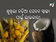 ଅତ୍ୟନ୍ତ ଲାଭକାରୀ ହୋଇଥାଏ ଶୁଖିଲା ନଡ଼ିଆ