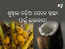 ଅତ୍ୟନ୍ତ ଲାଭକାରୀ ହୋଇଥାଏ ଶୁଖିଲା ନଡ଼ିଆ