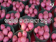 ଗୋଲାପୀ ଆଳୁ ଚାଷରେ ଆଶ୍ଚର୍ଯ୍ୟଜନକ ଲାଭ, କୃଷକମାନେ ମାତ୍ର ୮୦ ଦିନରେ ଧନୀ ହେବେ ! ଗୋଲାପୀ ଆଳୁ ଚାଷରେ ଆଶ୍ଚର୍ଯ୍ୟଜନକ ଲାଭ, କୃଷକମାନେ ମାତ୍ର ୮୦ ଦିନରେ ଧନୀ ହେବେ !