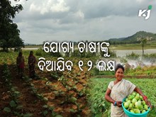 ପ୍ରତି ଚାଷୀଙ୍କୁ ମିଳିବ ରାଜ୍ୟ ସରକାରଙ୍କ ତରଫରୁ ୧୨ ଲକ୍ଷ