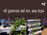 ଆକ୍ବାପୋନିକ୍ ପ୍ରଣାଳୀରେ ଚାଷ କଲେ ମିଳିବ ଅଧିକ ଲାଭ ଆକ୍ବାପୋନିକ୍ ପ୍ରଣାଳୀରେ ଚାଷ କଲେ ମିଳିବ ଅଧିକ ଲାଭ