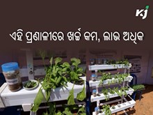 ଆକ୍ବାପୋନିକ୍ ପ୍ରଣାଳୀରେ ଚାଷ କଲେ ମିଳିବ ଅଧିକ ଲାଭ ଆକ୍ବାପୋନିକ୍ ପ୍ରଣାଳୀରେ ଚାଷ କଲେ ମିଳିବ ଅଧିକ ଲାଭ
