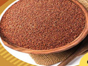 ମିଲେଟ ଫସଲ ଉତ୍ପାଦନ, ଭବିଷ୍ୟତ ପାଇଁ ଏକ ଭଲ ବିକଳ୍ପ