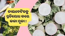 ପ୍ରତିଦିନ ଖାଆନ୍ତୁ କଳା ମୂଳା, ହୋଇଯିବ ଏହି ସବୁ ସମସ୍ୟା ଦୂର 