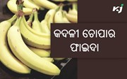 ଖାଇଛନ୍ତି କି କେବେ କଦଳୀ ଚୋପା ? ଜାଣନ୍ତୁ ଏହାର ଉପକାରିତା…..