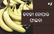 ଖାଇଛନ୍ତି କି କେବେ କଦଳୀ ଚୋପା ? ଜାଣନ୍ତୁ ଏହାର ଉପକାରିତା…..