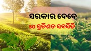  ରାଜ୍ୟ ସରକାରଙ୍କ ବଡ ଘୋଷଣା, ଚାଷୀଙ୍କୁ ମିଳିବ ସବସିଡି  