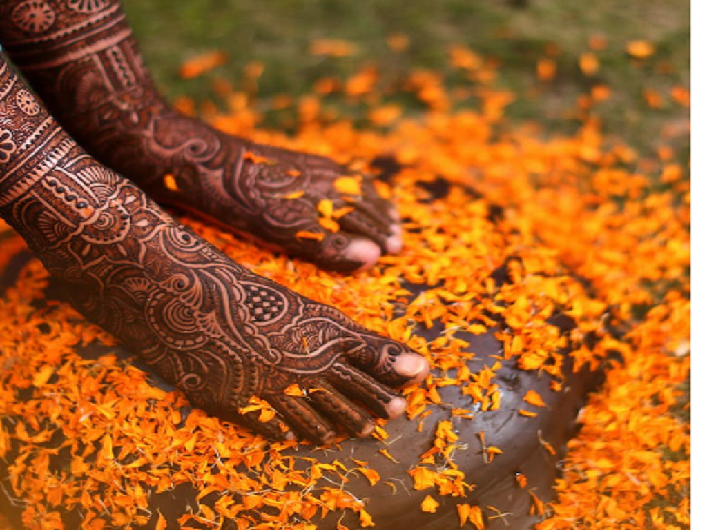 Henna farming is making farmers rich get more , image source - pexels.com