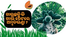 ଖାଲି ପେଟରେ ଖାଉଛନ୍ତି କି ଅମୃତଭଣ୍ଡା ? ଜାଣନ୍ତୁ ଭଲ ନ ଖରାପ 