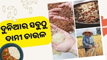 ଦୁନିଆର ସବୁଠୁ ଦାମୀ ଚାଉଳ, ଦାମ୍ ଜାଣିଲେ ଉଡ଼ିଯିବ ହୋସ  ଦୁନିଆର ସବୁଠୁ ଦାମୀ ଚାଉଳ, ଦାମ୍ ଜାଣିଲେ ଉଡ଼ିଯିବ ହୋସ