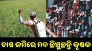 ଚାଷ ଜମିରେ ମଦ ସ୍ପ୍ରେ କରୁଛନ୍ତି ଚାଷୀ, ଜାଣନ୍ତୁ ଏହାର ଫାଇଦା...