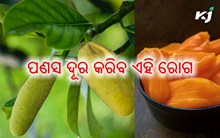 ରକ୍ତ ଶର୍କରାକୁ ନିୟନ୍ତ୍ରଣରେ ରଖିବ ପଣସ