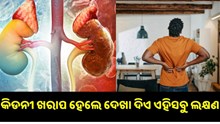 କିଡନୀ ଖରାପ ହେବା ପୂର୍ବରୁ ଦେଖା ଦେଇଥାଏ ଏହି ସବୁ ଲକ୍ଷଣ....