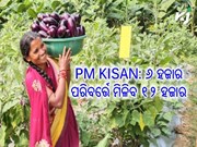 PM KISAN YOJANA: ୬୦୦୦ ଜାଗାରେ ବର୍ଷକୁ ମିଳିବ ୧୨୦୦୦ ଟଙ୍କା