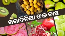 ଜୁନ୍ ମାସରେ କରନ୍ତୁ ଏହି ଚାଷ, ବଢିବ ଆୟ  ଜୁନ୍ ମାସରେ କରନ୍ତୁ ଏହି ଚାଷ, ବଢିବ ଆୟ