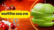  ଖରାଦିନରେ ଏହି ଉପାୟରେ କରନ୍ତୁ ସେଉ ଚାଷ 