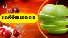 ଖରାଦିନରେ ଏହି ଉପାୟରେ କରନ୍ତୁ ସେଉ ଚାଷ   ଖରାଦିନରେ ଏହି ଉପାୟରେ କରନ୍ତୁ ସେଉ ଚାଷ