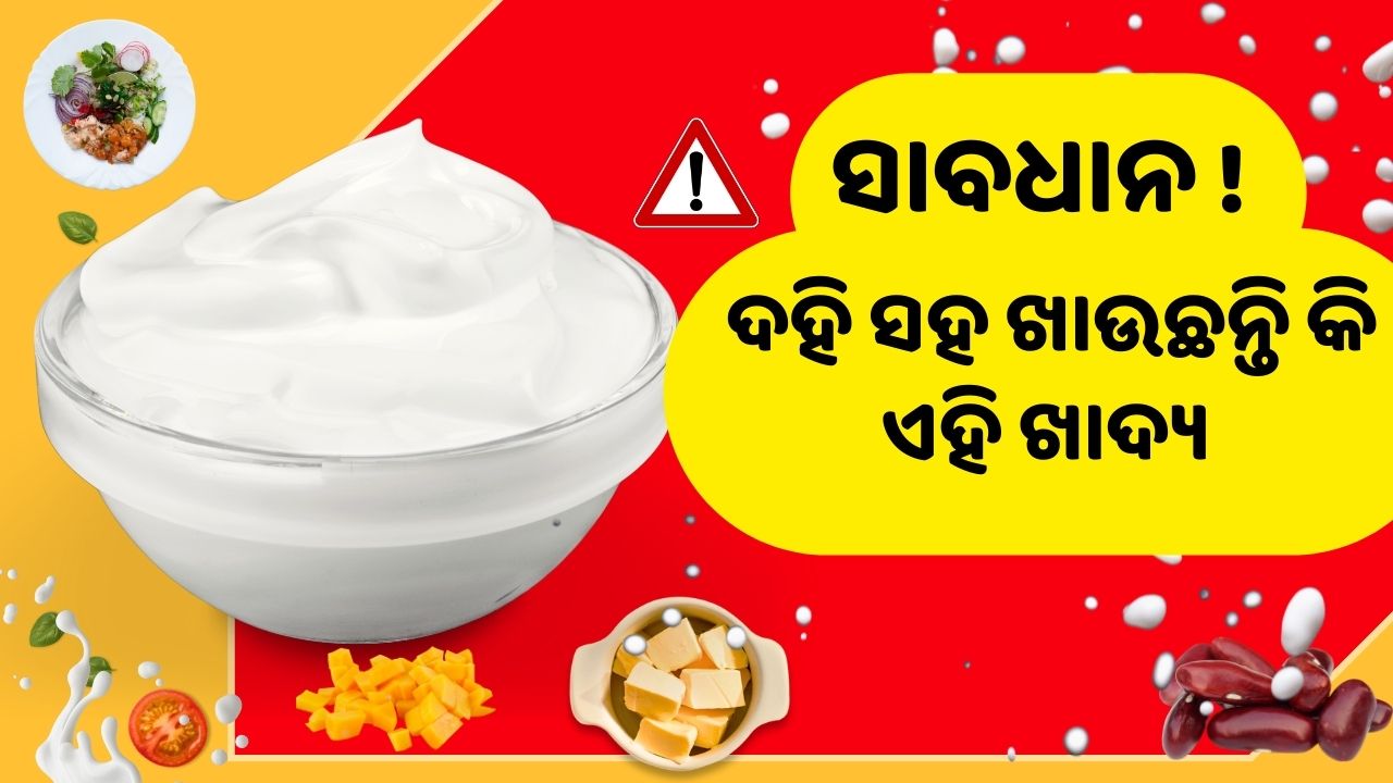 Avoid consuming curd with these items or you may suffer a significant loss pic credit @pexels .com