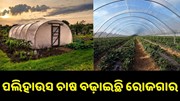 ନୂଆ ଟେକନିକରେ ନୂଆ ଚାଷ, ଏବେ ଆପଣ ବି ହୋଇପାରିବେ ଭଲ କୃଷକ...