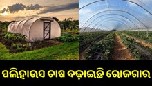 ନୂଆ ଟେକନିକରେ ନୂଆ ଚାଷ, ଏବେ ଆପଣ ବି ହୋଇପାରିବେ ଭଲ କୃଷକ... ନୂଆ ଟେକନିକରେ ନୂଆ ଚାଷ, ଏବେ ଆପଣ ବି ହୋଇପାରିବେ ଭଲ କୃଷକ...
