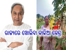 ସବୁ ଜିଲ୍ଲାରେ ଖୋଲିବ ‘କାଳିଆ’ କେନ୍ଦ୍ର ସବୁ ଜିଲ୍ଲାରେ ଖୋଲିବ ‘କାଳିଆ’ କେନ୍ଦ୍ର