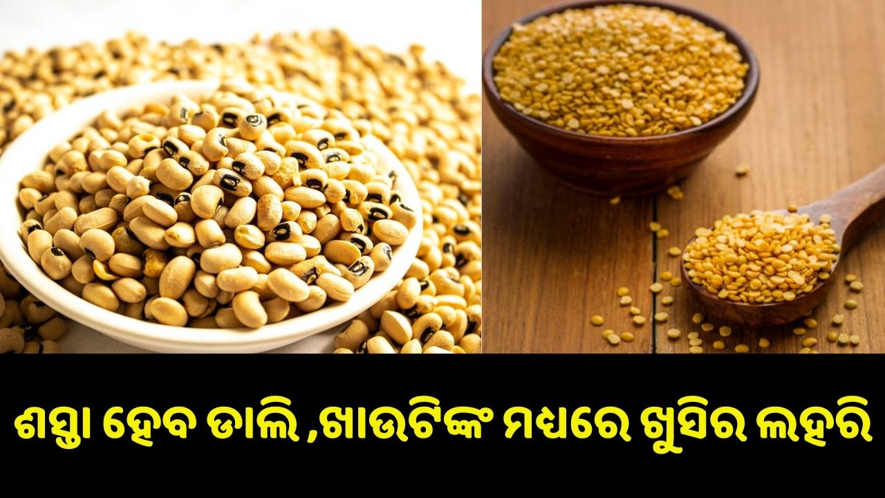Arhar and urad pulses are going to be cheaper...pic credit:www.pexels.com