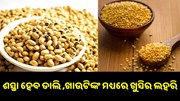 ଶସ୍ତା ହେବାକୁ ଯାଉଛି ଏହି ସବୁ ଡାଲି..