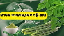 ଏହି ଶାଗ ଆପଣଙ୍କୁ ଦେବ ରୋଜଗାର   ଏହି ଶାଗ ଆପଣଙ୍କୁ ଦେବ ରୋଜଗାର