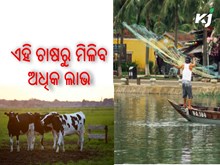 Most Profitable Farming: ଭାରତରେ ସବୁଠାରୁ ଲାଭଜନକ କୃଷି ବ୍ୟବସାୟ Most Profitable Farming: ଭାରତରେ ସବୁଠାରୁ ଲାଭଜନକ କୃଷି ବ୍ୟବସାୟ
