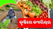 କୃଷି କ୍ଷେତ୍ରରେ ଆରମ୍ଭ କରନ୍ତୁ ଏହି କ୍ୟାରିୟର