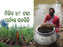 ଏହି କାମ ପାଇଁ ଏବେ କୃଷକ ପାଇବେ ୪୮ ହଜାର ଟଙ୍କା ପର୍ଯ୍ୟନ୍ତ ସବସିଡି