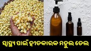 ସ୍ୱାସ୍ଥ୍ୟ ପାଇଁ ହୀତକାରକ ମହୁଲ ତେଲ, ଏବେ ବଢ଼ାଇଛି କୃଷକଙ୍କ ରୋଜଗାର...