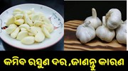 କମିବ ରସୁଣ ଦର, ଜାଣନ୍ତୁ ଏହାର କାରଣ..