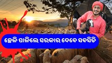 ଛେଳି ପାଳନରେ ସରକାର ଦେବେ 50 ଲକ୍ଷ ସବସିଡି 