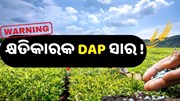 ଅଧିକ DAP ସାର ବ୍ୟବହାର କରୁଛନ୍ତି କି ? ଅଧିକ DAP ସାର ବ୍ୟବହାର କରୁଛନ୍ତି କି ?