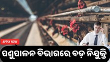 ପଶୁପାଳନ ବିଭାଗରେ ନିଯୁକ୍ତି, ଶୀଘ୍ର କରନ୍ତୁ ଆବେଦନ 