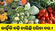 ଜାଣନ୍ତୁ, କାହିଁକି ବଢ଼ି ଚାଲିଛି ପରିବା ଦର..