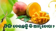 ଫିଙ୍ଗି ଦେଉଛନ୍ତି କି ଆମ୍ବ ଚୋପା, ଜାଣନ୍ତୁ ଏହାର ଔଷଧୀୟ ଗୁଣ 