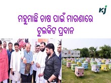 ଗ୍ରାମୋଦ୍ୟୋଗ ବିକାଶ ଯୋଜନାରେ ମହୁମାଛି ଚାଷ ପାଇଁ ଟୁଲକିଟ ପ୍ରଦାନ 