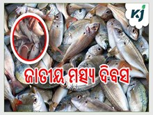 ଜାତୀୟ ମତ୍ସ୍ୟ କୃଷକ ଦିବସ 2023 ପାଳିତ