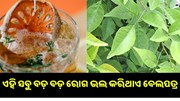 ଏହି ସବୁ ବଡ଼ ବଡ଼ ରୋଗ ଭଲ କରିଥାଏ ବେଲପତ୍ର