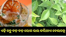 ଏହି ସବୁ ବଡ଼ ବଡ଼ ରୋଗ ଭଲ କରିଥାଏ ବେଲପତ୍ର