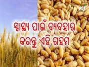 ଗହମର ଏହି କିସମର ଅଟା ଖାଆନ୍ତୁ , କମ ହେବ ଡାଇବେଟିସ   ଗହମର ଏହି କିସମର ଅଟା ଖାଆନ୍ତୁ , କମ ହେବ ଡାଇବେଟିସ